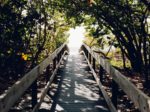 sanibel island nature center