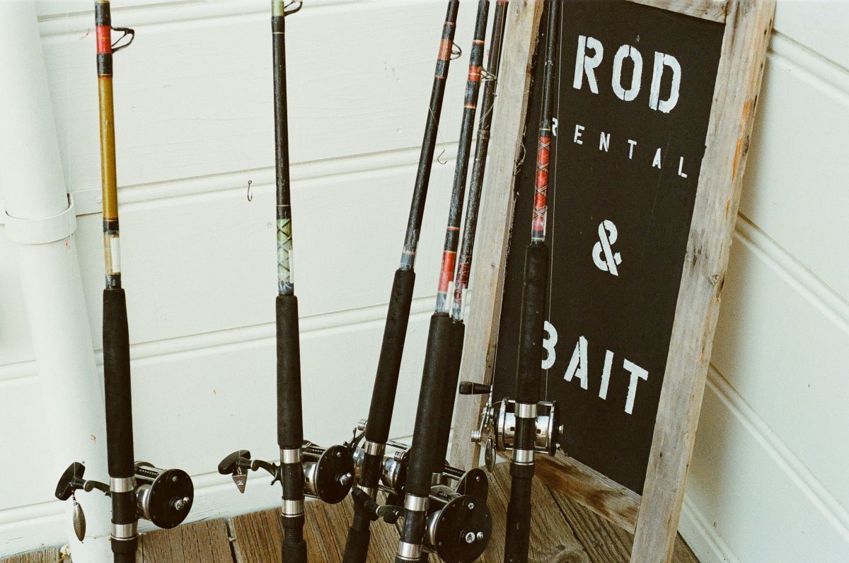rods and bait
