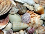 Gopher Rentals - Sanibel & Captiva Island Vacation Rentals
