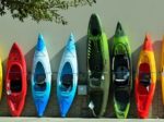 One of the best ways to explore Sanibel Island in an exciting way is to hop in a kayak and paddle your way through the mangrove forests around the area.