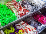 Bait at a Sanibel Island bait and tackle shop