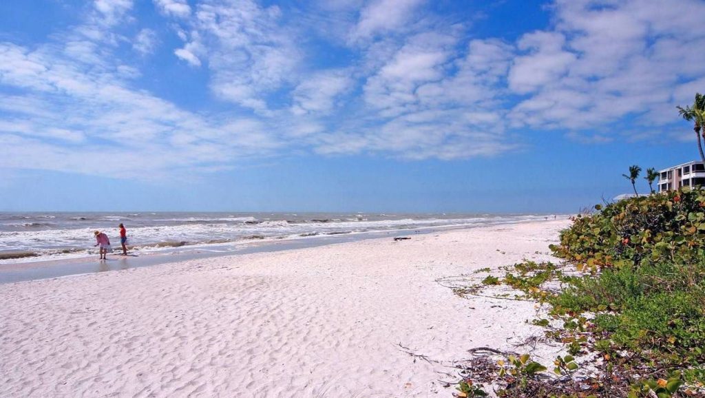 Sanibel has tons to see and do for every interest, so you can make the most of your New Year's vacation. Here are three activities you simply can't miss out on.
